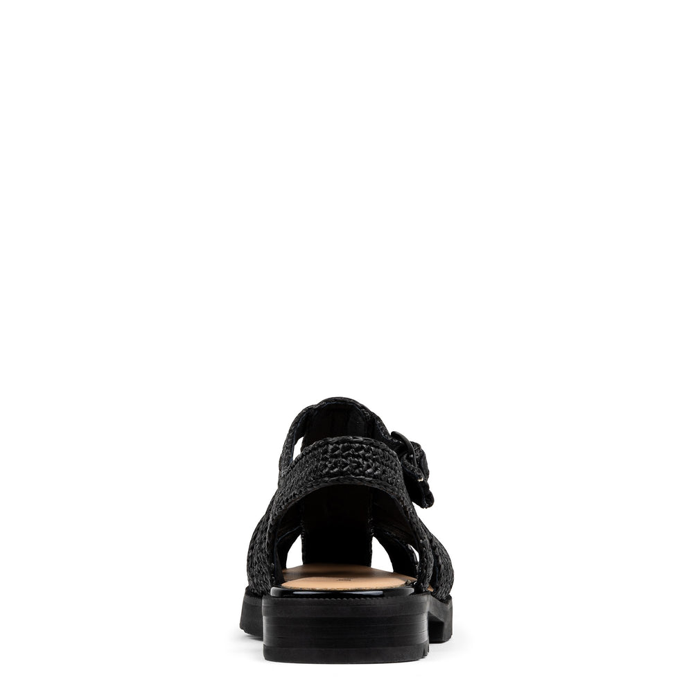 LAYNA Black - Donald Pliner Casual