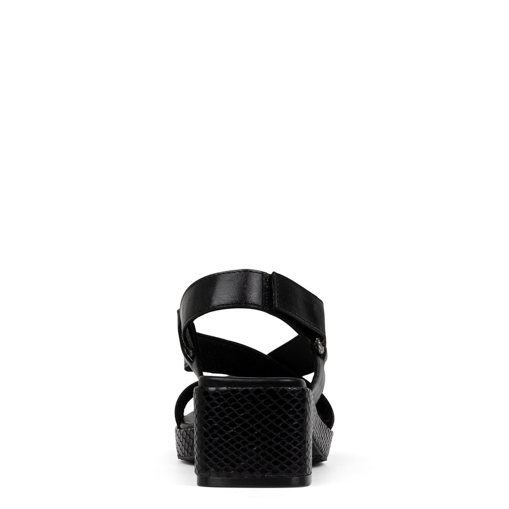 ROMIN Black - Donald Pliner Casual